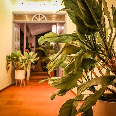 Aura Hotel Parque Barichara By Infinity Kültér fotó